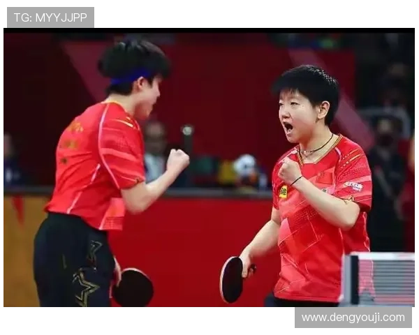 成都乒乓球队技术争议引发热议球迷与专家的不同观点碰撞